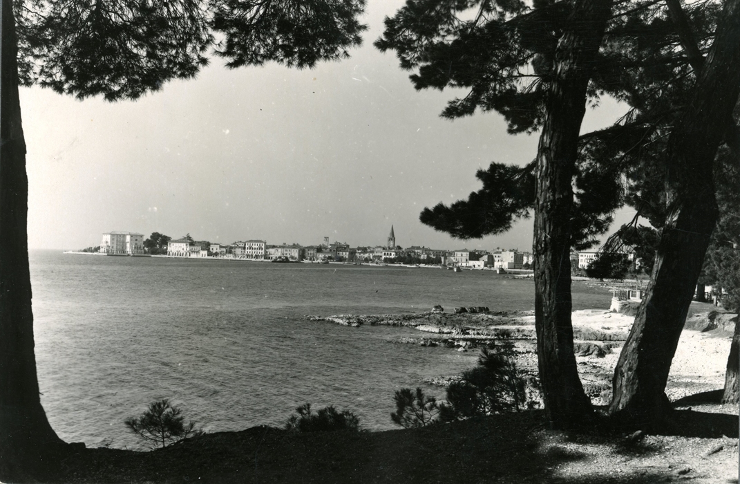 Image description